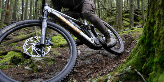 Salsa Cycles