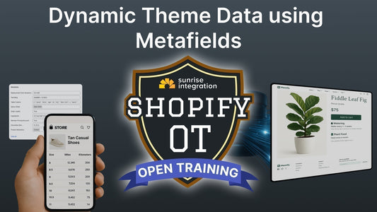 Shopify Dynamic Theme Data using Metafields - Shopify OT