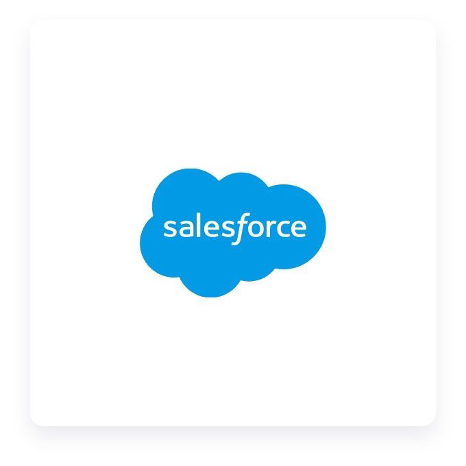 icon large salesforce